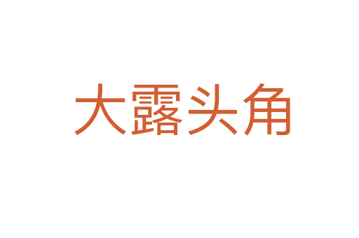 大露头角