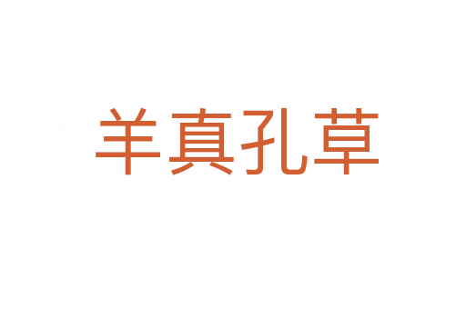 羊真孔草