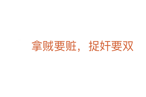 拿贼要赃,捉奸要双