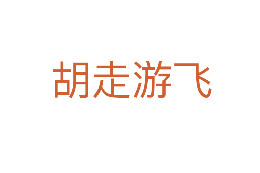 胡走游飞