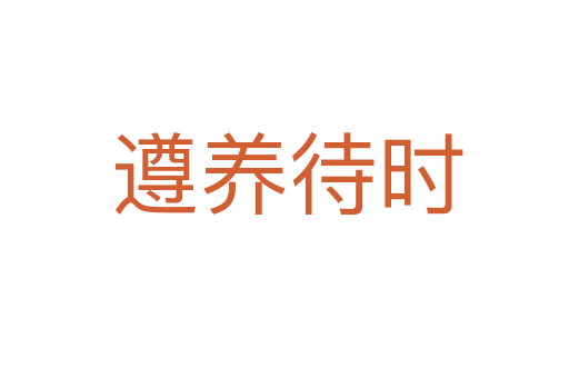 遵养待时