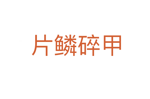 片鳞碎甲