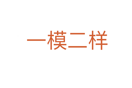 一模二样