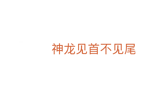 神龙见首不见尾