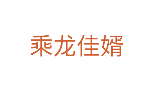 乘龙佳婿
