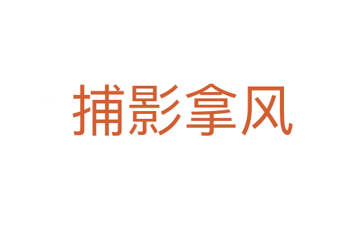 捕影拿风