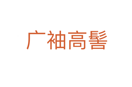 广袖高髻