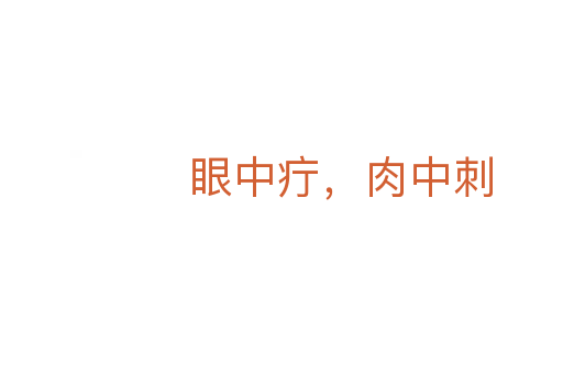 眼中疔,肉中刺
