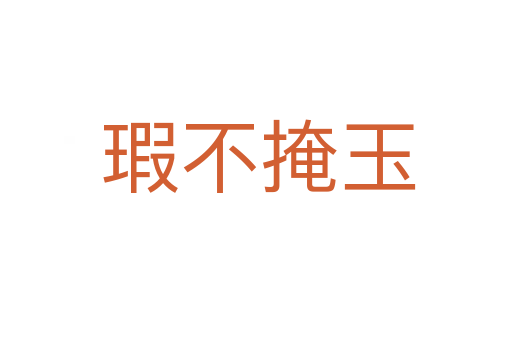 瑕不掩玉