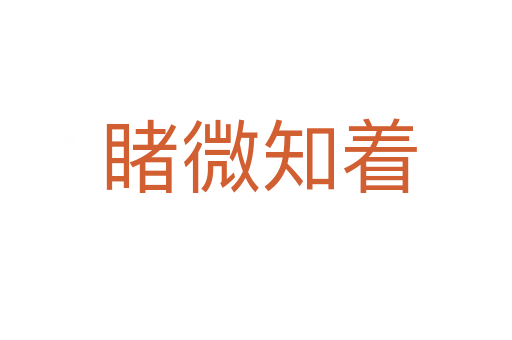 睹微知着