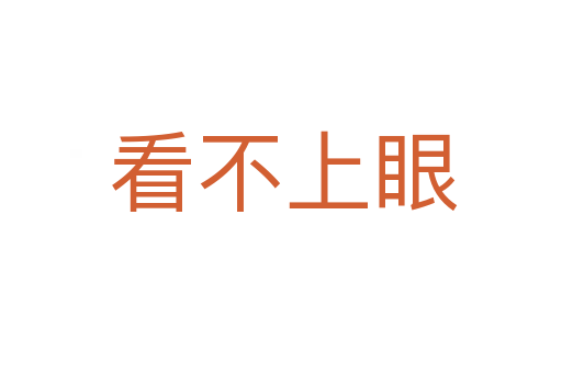 看不上眼