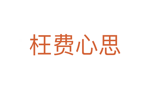 枉费心思