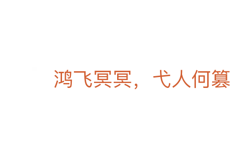 鸿飞冥冥,弋人何篡