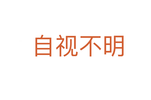 自视不明