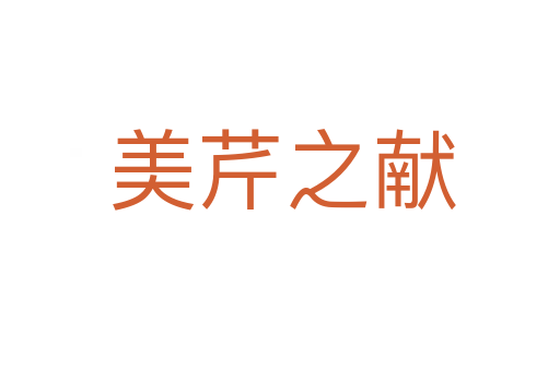 美芹之献