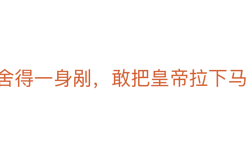 舍得一身剐,敢把皇帝拉下马