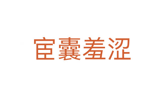 宦囊羞涩