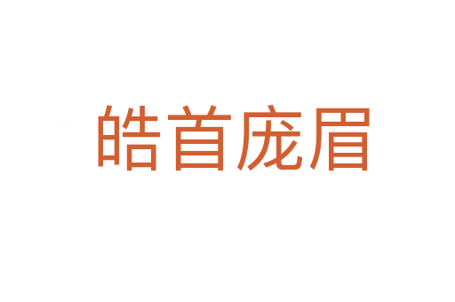 皓首庞眉