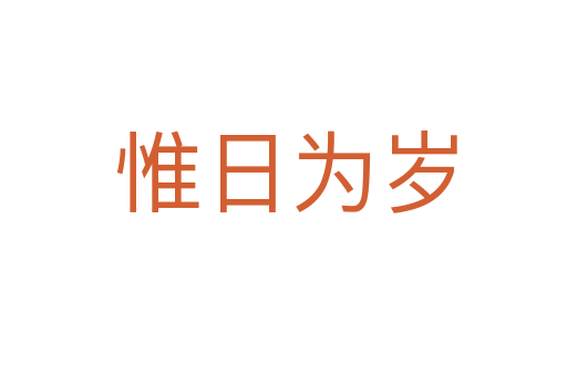 惟日为岁