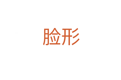 脸形