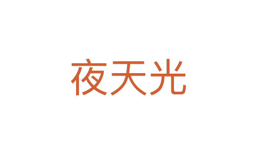 夜天光