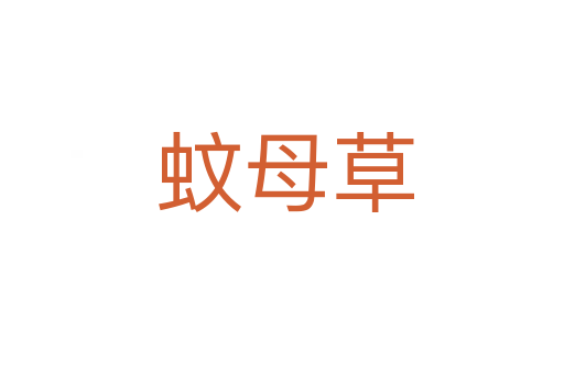 蚊母草