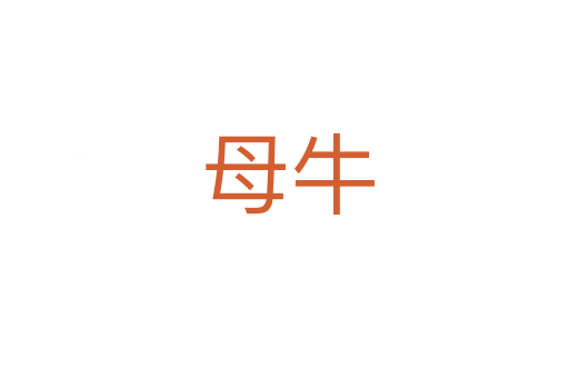 母牛
