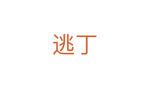 逃丁