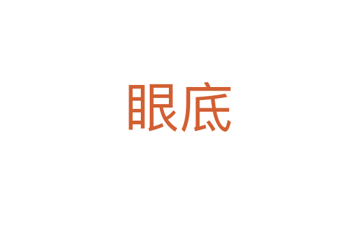眼底