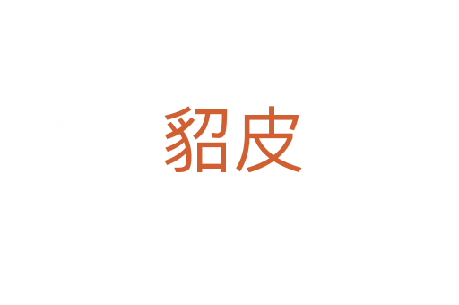 貂皮