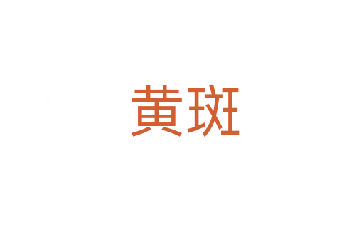 黄斑