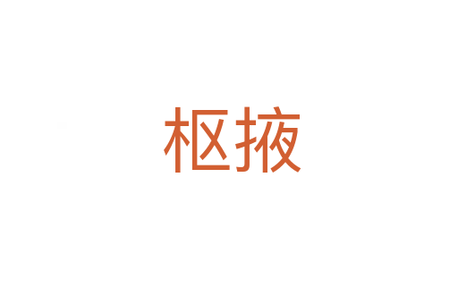枢掖