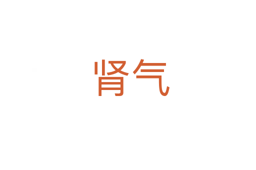 肾气