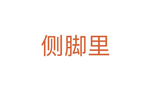 侧脚里