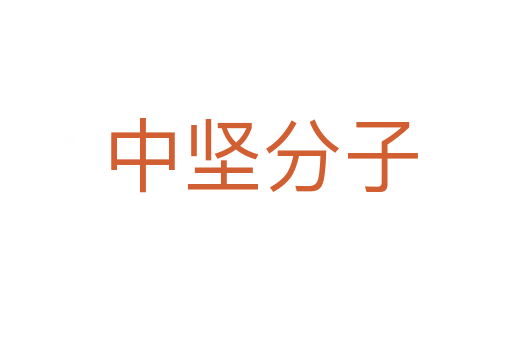 中坚分子