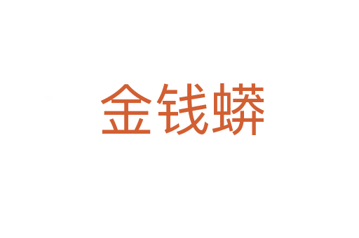金钱蟒