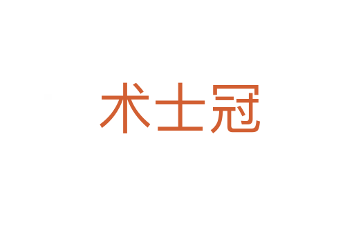 术士冠