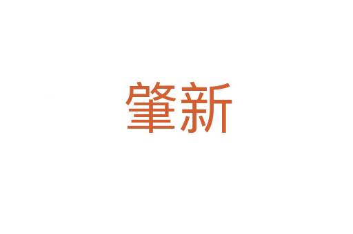 肇新