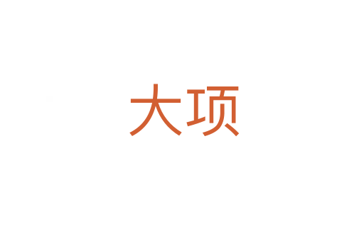 大项