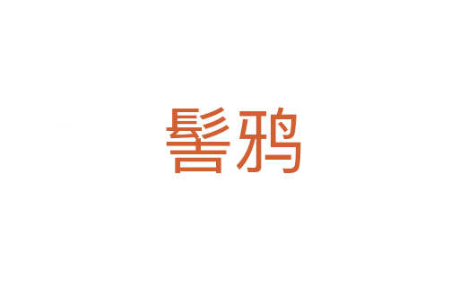 髻鸦