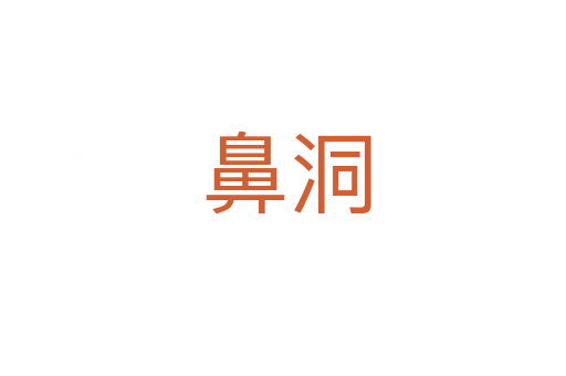 鼻洞
