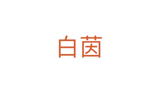 白茵