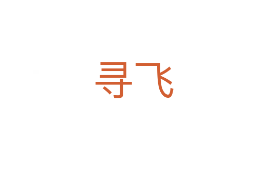 寻飞