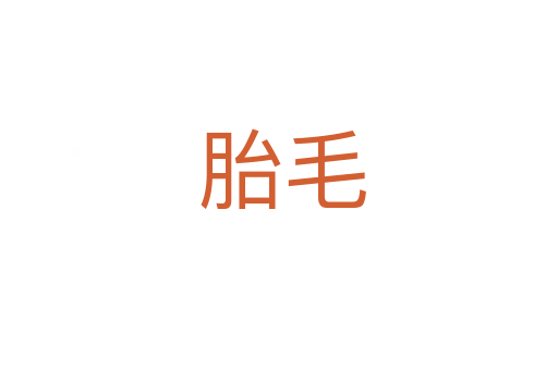 胎毛