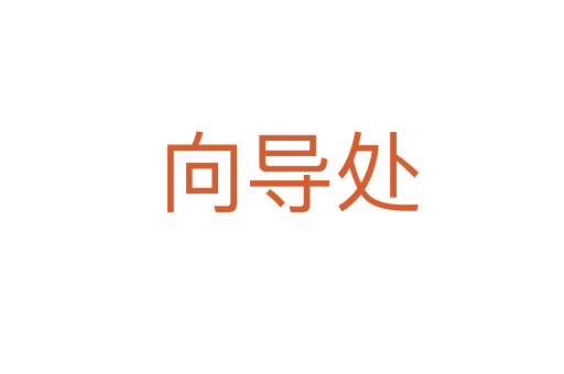 向导处