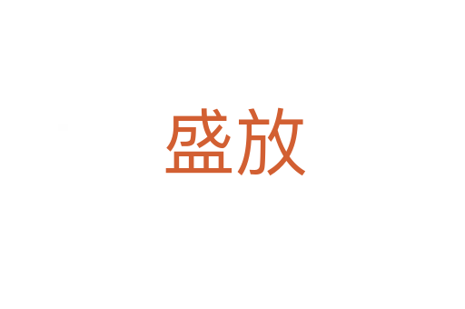 盛放