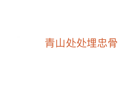 青山处处埋忠骨