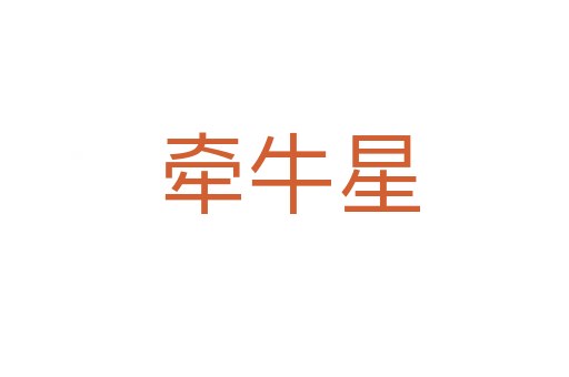 牵牛星