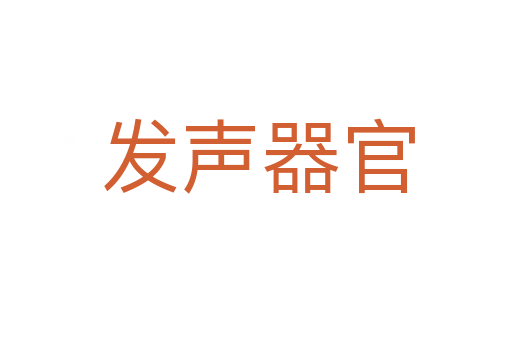 发声器官