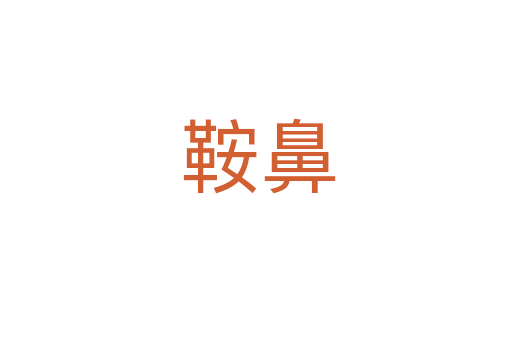 鞍鼻